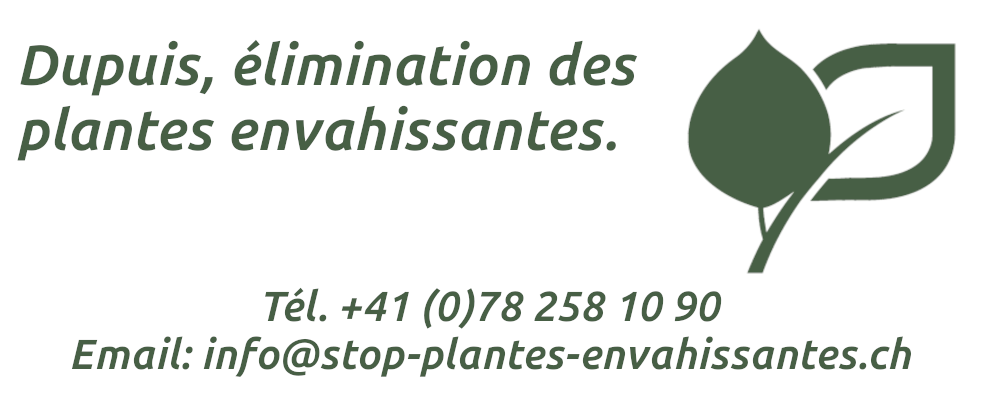Entreprise d'élimination des plantes envahissantes en Suisse
