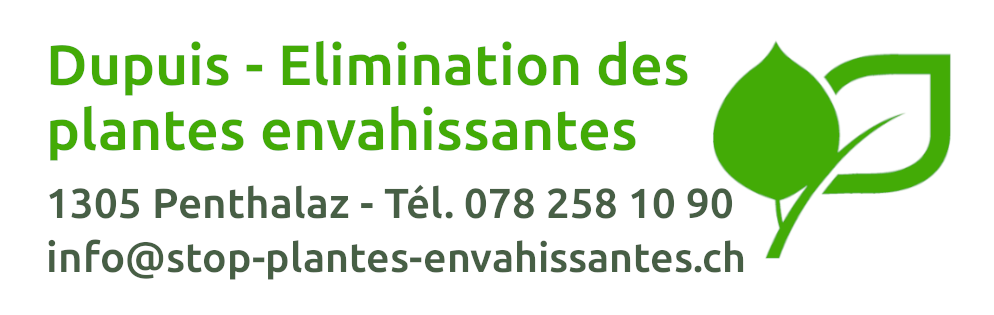 Entreprise Suisse spécialisée dans l'élimination des plantes envahissantes